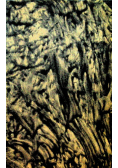 Wiersze wybrane