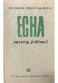 Echa puszczy jodłowej
