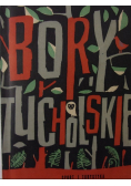 Bory Tucholskie