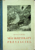 Mój Skrzydlaty przyjaciel 1931 r.