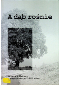A dąb rośnie