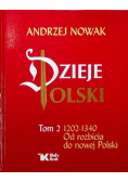 Dzieje Polski Tom 2 Od rozbicia do nowej Polski