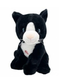 Kot Emil 20cm