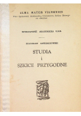 Studia i szkice przygodne