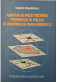 Adaptacja przestrzenna przemysłu w Polsce w warunkach transformacji