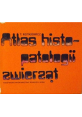 Atlas histopatologii zwierząt
