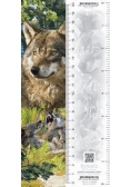 Zakładka 3D Wilk