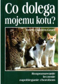 Co dolega mojemu kotu
