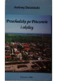 Przechadzka po Pińczowie i okolicy