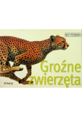 Groźne zwierzęta