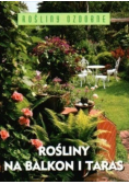 Rośliny na balkon i taras