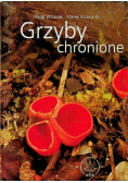 Grzyby Chronione