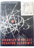 Pierwszy w Polsce reaktor jądrowy