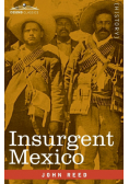 Insurgent Mexico