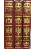 Polska jej dzieje i kultura Tom 1 do 3 1927 r.