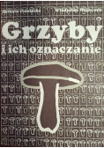 Grzyby i ich oznaczanie