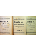 Kronika dyecezji Kujawsko Kaliskiej ok 1921 3 tomyr
