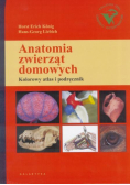 Anatomia zwierząt domowych 2015