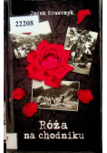 Róża na chodniku