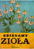 Zbieramy zioła