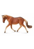 Klacz haflinger