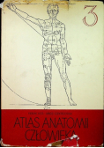 Atlas anatomii człowieka Tom 3