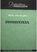 Fotosynteza