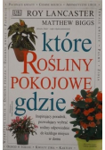 Które rośliny pokojowe gdzie