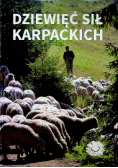 Dziewięć sił karpackich