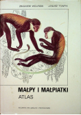Małpy i małpiatki