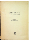Kruszwica Zarys monograficzny