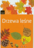 Drzewa leśne