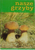 Nasze grzyby