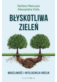 Błyskotliwa zieleń