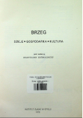 Brzeg dzieje gospodarka kultura