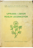 Uprawa i zbiór roślin leczniczych 1947 r.