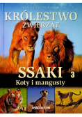 Wielka encyklopedia Królestwo zwierząt Ssaki Tom 3 Koty i mangusty