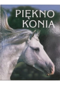 Piękno konia
