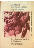 Ochrona plantacji roślin jagodowych