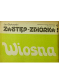 Zastęp zbiórka wiosna