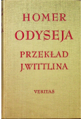 Homer Odyseja