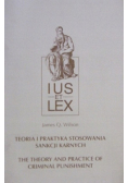 Teoria i praktyka stosowania sankcji karnych