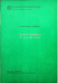 Kamień pomorski w XII i XIII wieku