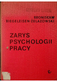 Zarys psychologii pracy