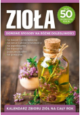 Zioła Domowe sposoby na różne dolegliwości