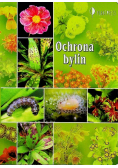 Ochrona bylin