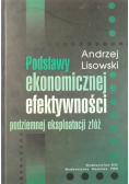 Podstawy ekonomicznej efektywności podziemnej eksploatacji  złóż