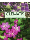 Clematis Najpiękniejsze gatunki powojników