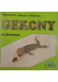 Gekony w terrarium