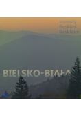 Bielsko Biała i Beskidy